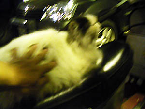 PICT0003.JPG