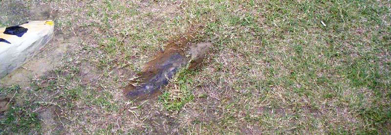 PICT0003.JPG